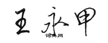 骆恒光王永甲行书个性签名怎么写
