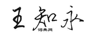骆恒光王知永行书个性签名怎么写