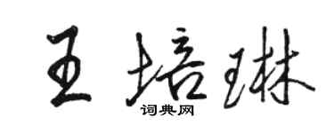 骆恒光王培琳行书个性签名怎么写