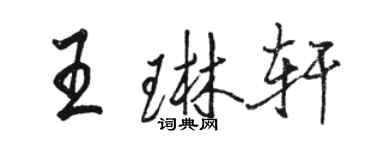 骆恒光王琳轩行书个性签名怎么写