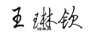 骆恒光王琳钦行书个性签名怎么写