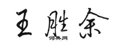 骆恒光王胜余行书个性签名怎么写