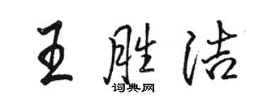 骆恒光王胜洁行书个性签名怎么写