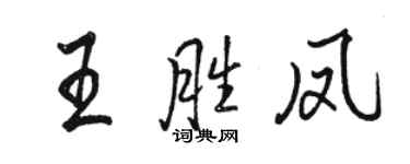 骆恒光王胜凤行书个性签名怎么写