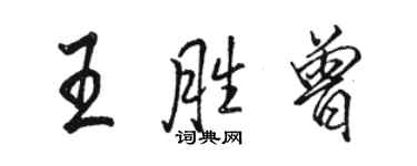 骆恒光王胜曾行书个性签名怎么写