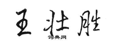 骆恒光王壮胜行书个性签名怎么写