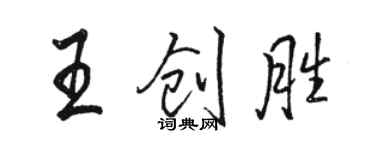 骆恒光王创胜行书个性签名怎么写