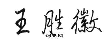 骆恒光王胜徽行书个性签名怎么写