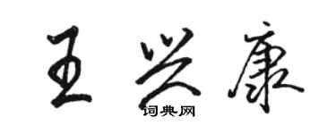 骆恒光王兴康行书个性签名怎么写