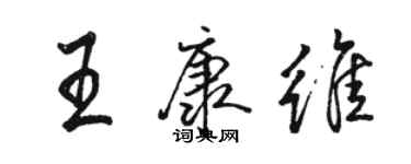 骆恒光王康维行书个性签名怎么写