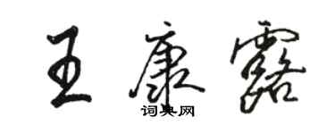 骆恒光王康露行书个性签名怎么写