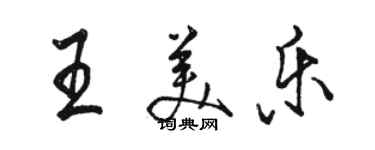 骆恒光王美乐行书个性签名怎么写