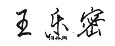 骆恒光王乐密行书个性签名怎么写