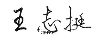骆恒光王志挺行书个性签名怎么写
