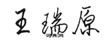 骆恒光王瑞原行书个性签名怎么写