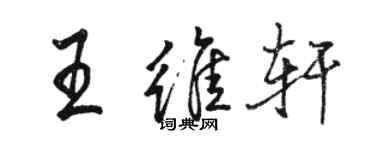 骆恒光王维轩行书个性签名怎么写