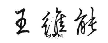 骆恒光王维能行书个性签名怎么写