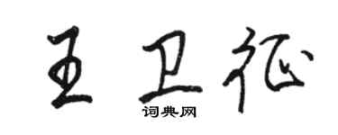 骆恒光王卫征行书个性签名怎么写