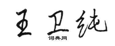 骆恒光王卫纯行书个性签名怎么写