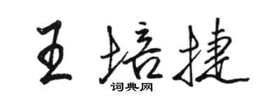 骆恒光王培捷行书个性签名怎么写