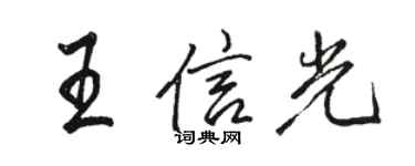 骆恒光王信光行书个性签名怎么写