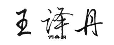 骆恒光王译丹行书个性签名怎么写