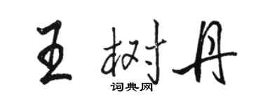 骆恒光王树丹行书个性签名怎么写