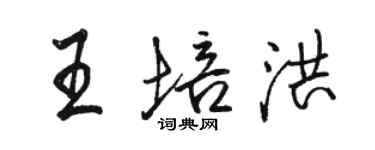 骆恒光王培洪行书个性签名怎么写
