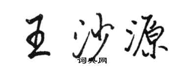 骆恒光王沙源行书个性签名怎么写