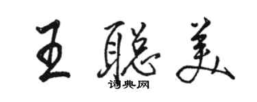 骆恒光王聪美行书个性签名怎么写