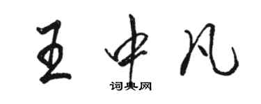 骆恒光王中凡行书个性签名怎么写