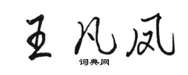 骆恒光王凡凤行书个性签名怎么写