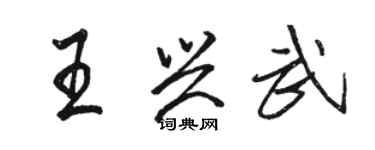 骆恒光王兴武行书个性签名怎么写
