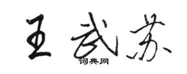 骆恒光王武苏行书个性签名怎么写