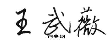 骆恒光王武薇行书个性签名怎么写