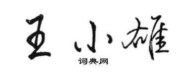 骆恒光王小雄行书个性签名怎么写