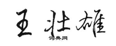 骆恒光王壮雄行书个性签名怎么写