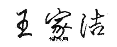 骆恒光王家洁行书个性签名怎么写