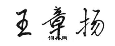 骆恒光王章扬行书个性签名怎么写