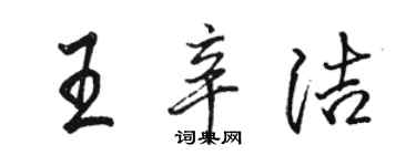 骆恒光王辛洁行书个性签名怎么写
