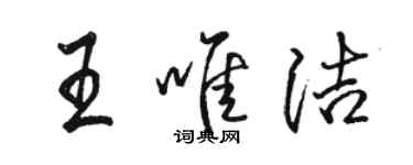 骆恒光王唯洁行书个性签名怎么写