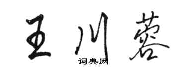 骆恒光王川蓉行书个性签名怎么写