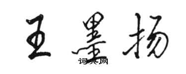 骆恒光王墨扬行书个性签名怎么写