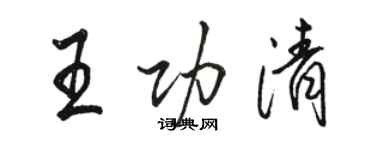 骆恒光王功清行书个性签名怎么写