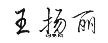 骆恒光王扬丽行书个性签名怎么写