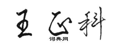 骆恒光王正科行书个性签名怎么写