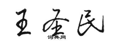 骆恒光王圣民行书个性签名怎么写