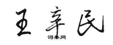 骆恒光王辛民行书个性签名怎么写
