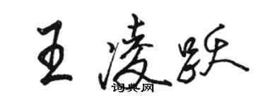 骆恒光王凌跃行书个性签名怎么写