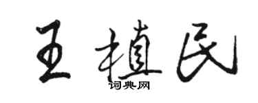 骆恒光王植民行书个性签名怎么写